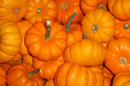 illustration Jack Be Little