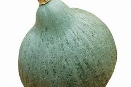 illustration Blue Ballet